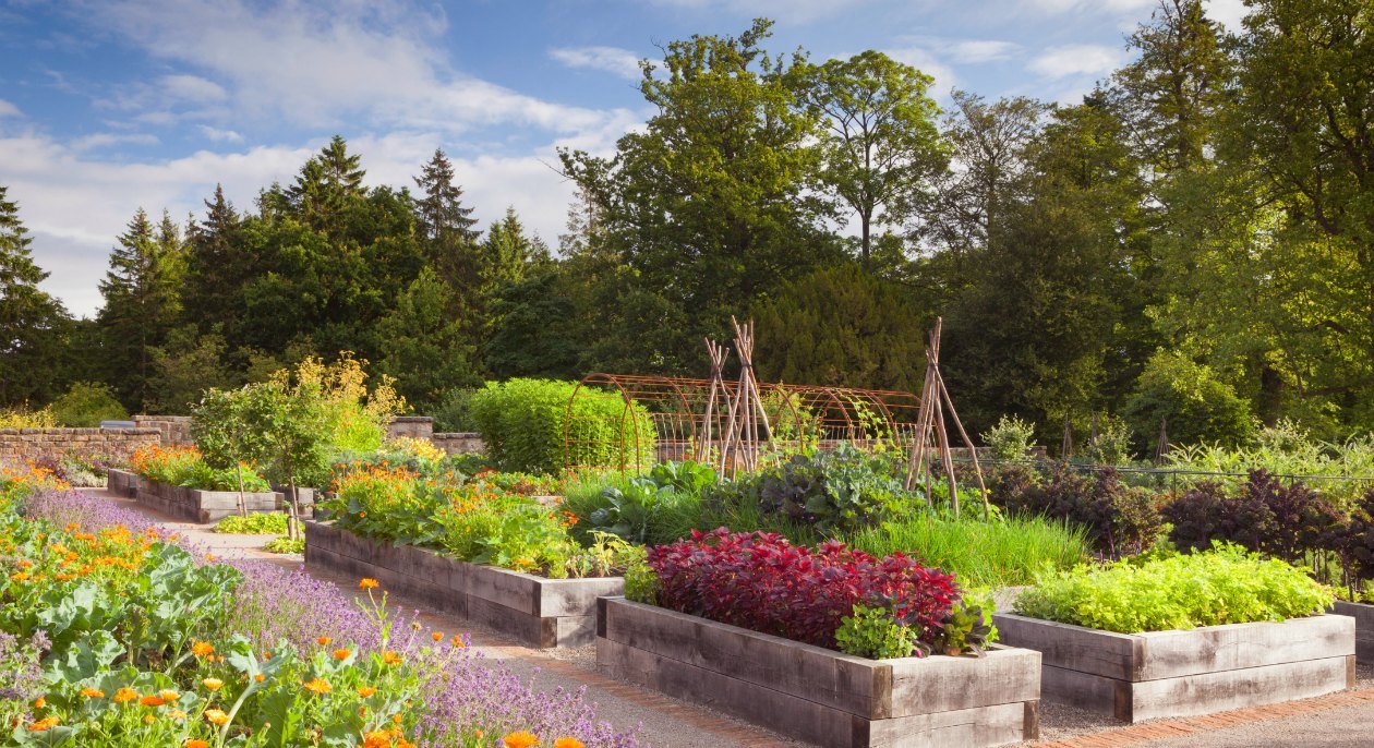 Rudding Park, Yorkshire Kitchen Garden